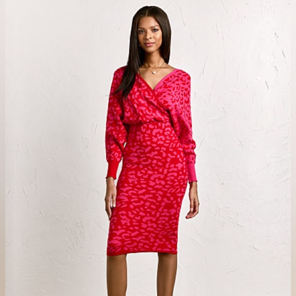 Animal Print Wrap Sweater Dress 
Dee Elly | New York & Company